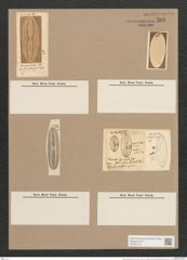 Navicula forcipata Grev. (de-Toni-Nr.: Genus 1, Species 332) Zeichnungen Sammlung Grunow Nr. 766 (NHMW-BOT-W0367170)